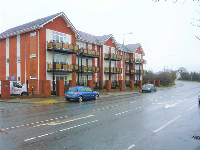 Main Image